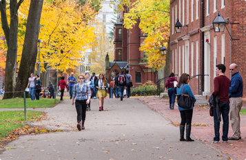 让运营更高效的网页在线DDOS压力测试