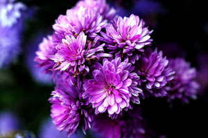 免费ddos平台攻击